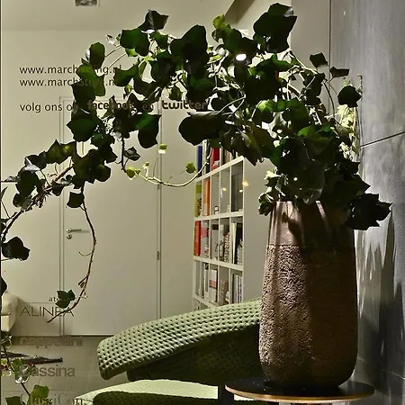 Maison Wyck Apartment Maastricht